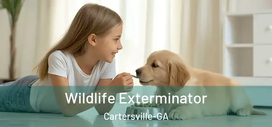  Wildlife Exterminator Cartersville-GA