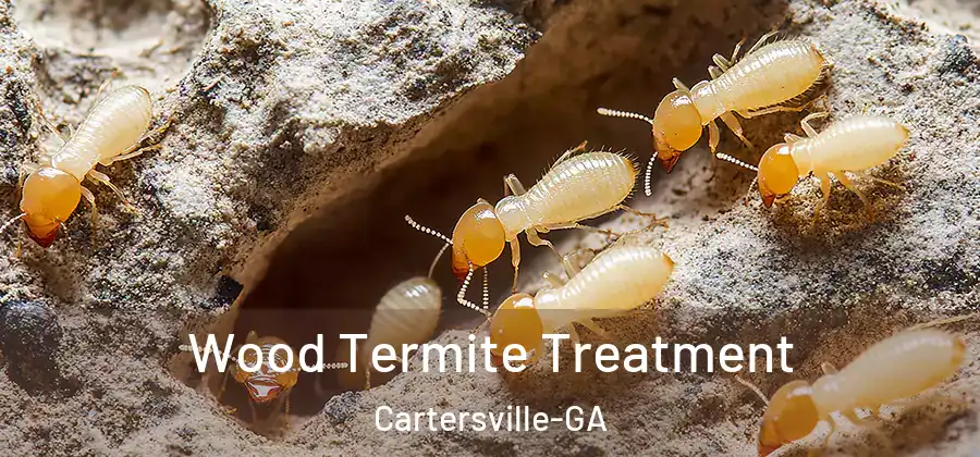 Wood Termite Treatment Cartersville-GA