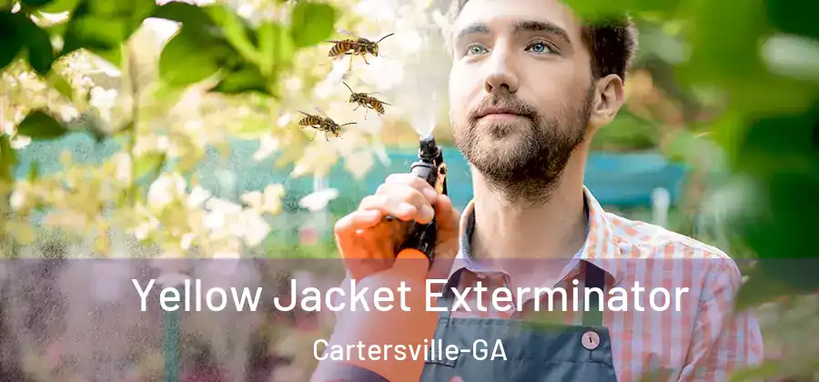 Yellow Jacket Exterminator Cartersville-GA